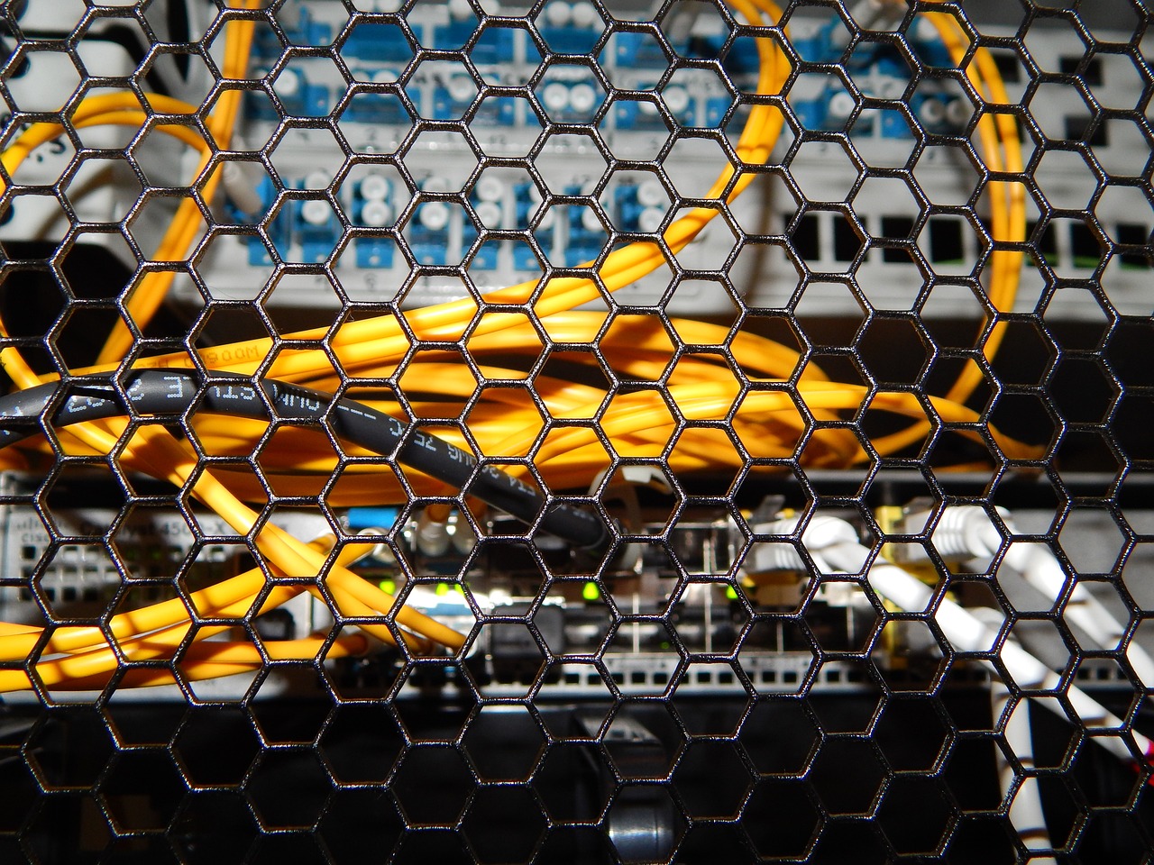 server, switch, network
